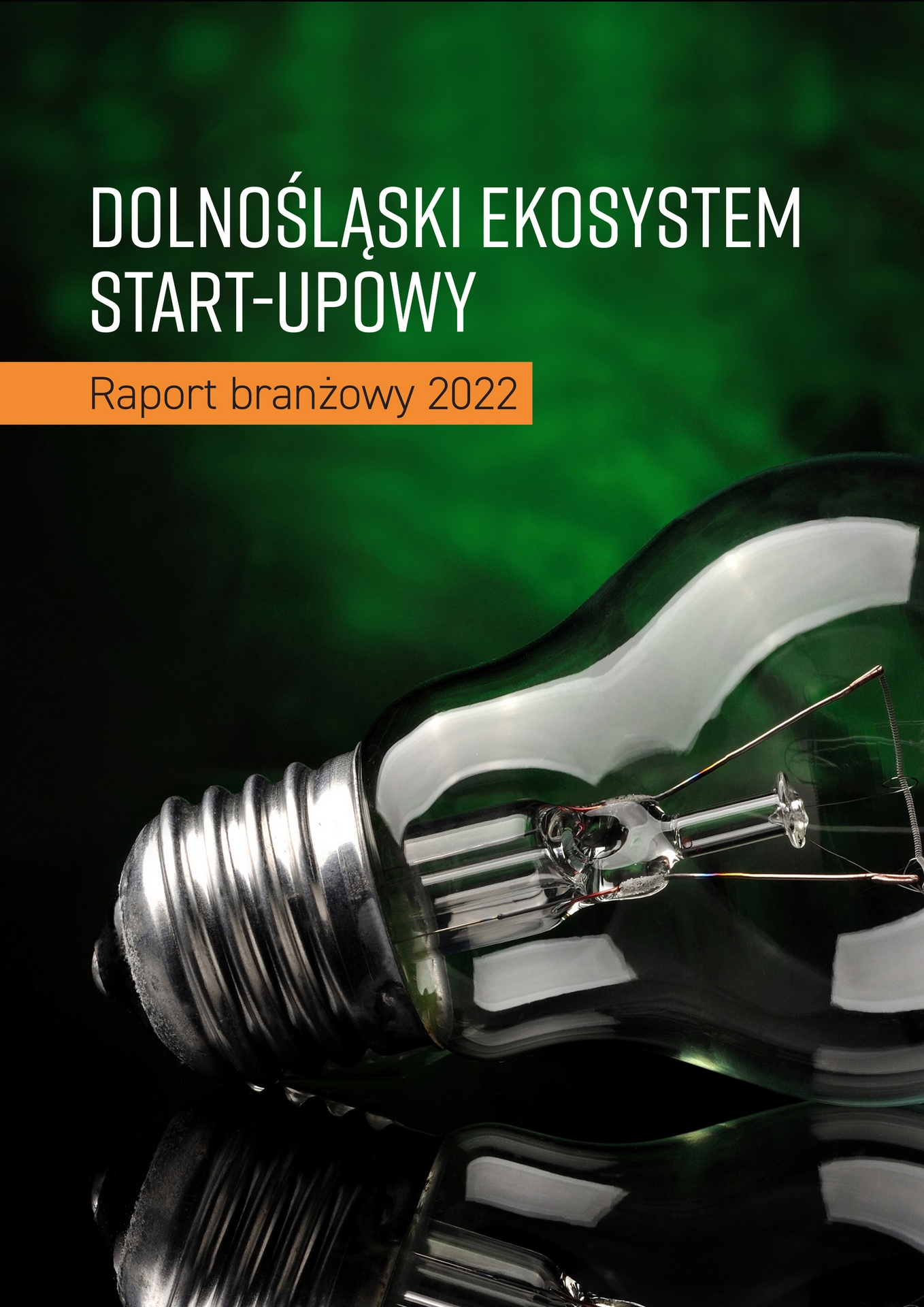 Dolnośląski ekosystem startupowy - raport