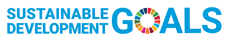 SDG logo