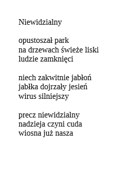 niewidzialny